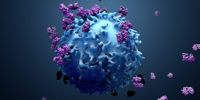 3d illustration proteins with lymphocytes , t cells or cancer cells 3d illustration proteins with lymphocytes , t cells or cancer cells