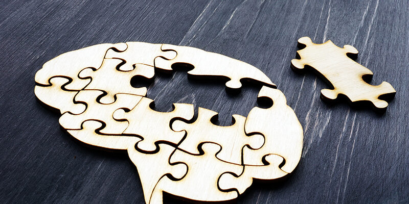 Brain from wooden puzzles. Mental Health and problems with memory. Brain from wooden puzzles. Mental Health and problems with memory.