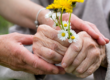 springtime activities for seniors